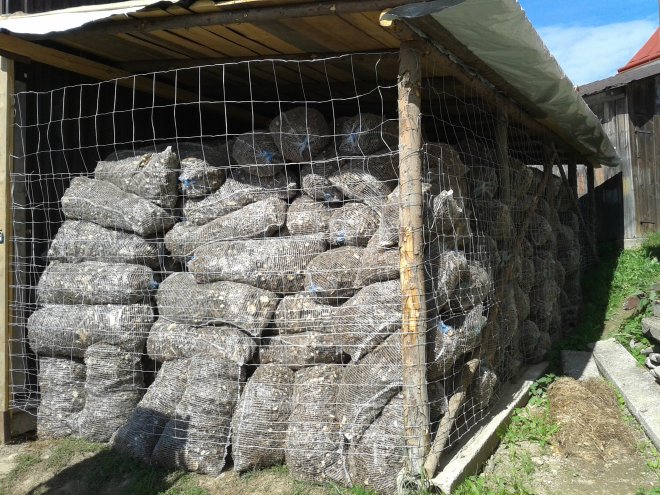 Skladování štěpky pod střechou v otevřeném prostoru